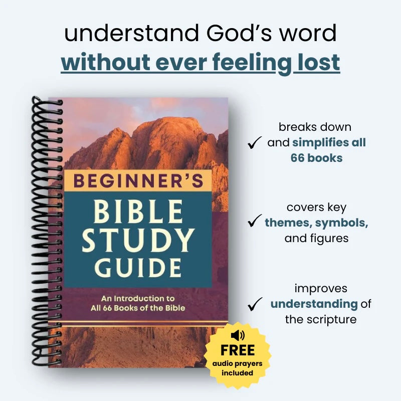 The 66-Book Roadmap: A Simple Guide to the Bible
