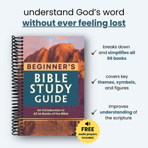 The 66-Book Roadmap: A Simple Guide to the Bible